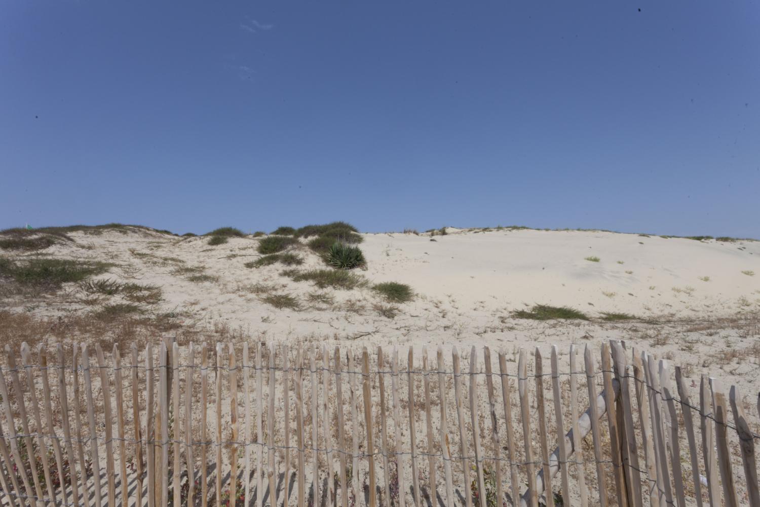 Dispositif protection dune Plage Nord